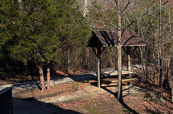 Dogwood Picnic Table